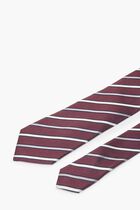 Striped Modern Tie