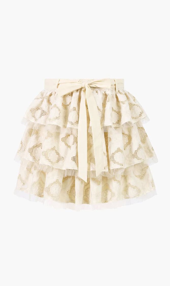Ava Embroidered Mini Skirt