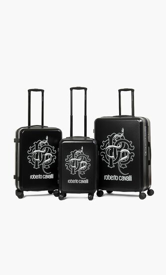 Lightweight Spinner Suitcase Set