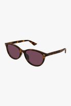 Havana Sunglasses