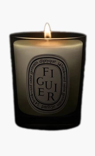 DTQ FIGUIER CANDLE 70G