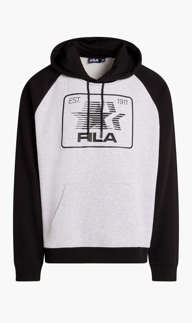 EMBRY GRAPHICLOGO RAGLAN HOODIE