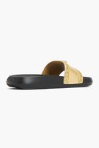 SLIDES