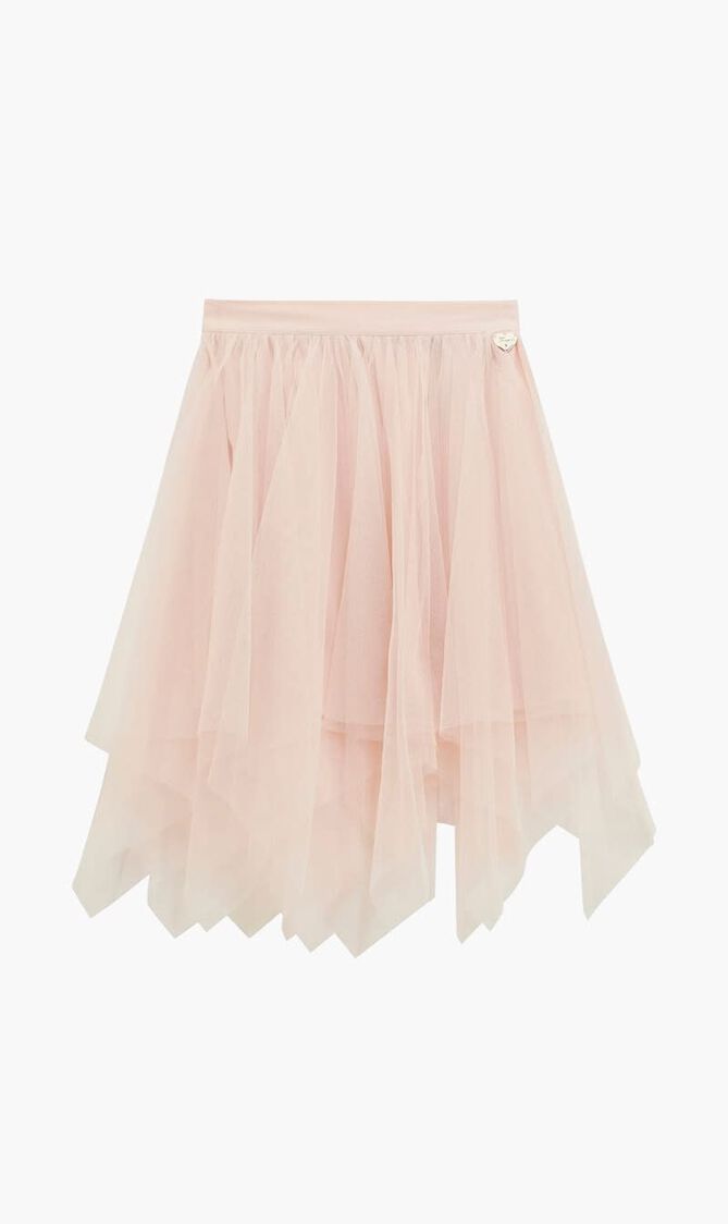 Mesh Mini Skirt
