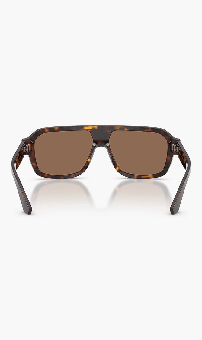 Havana Sunglasses