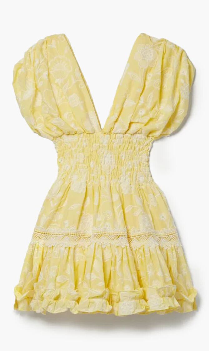 Embroidered Cotton Voile Mini Dress