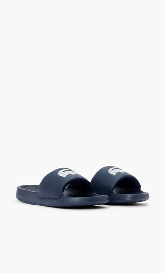 Classic Logo Slides