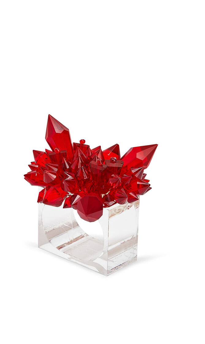 طقم حلقات مناديل المائدة زينيت - 4 قطع