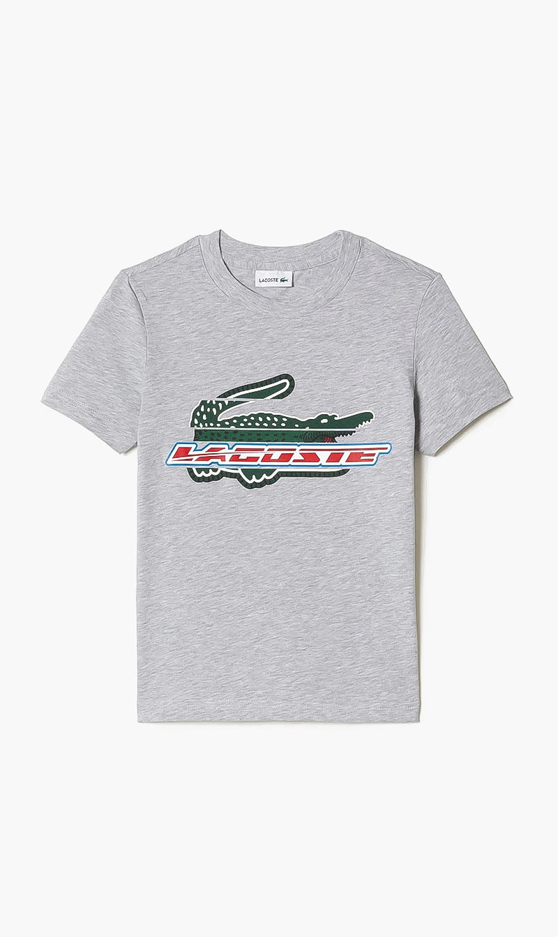

Crew Neck Tshirt, Grey