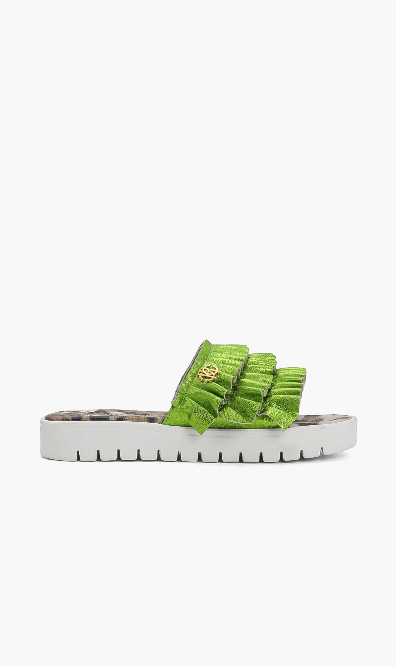 

Classic Slides