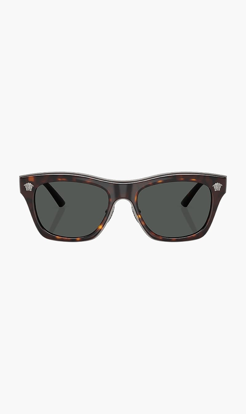 Versace Multi-color Havana Sunglasses for Men