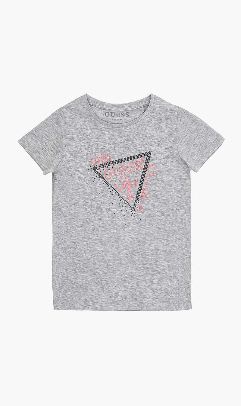 

Round Neck Tshirt, Grey