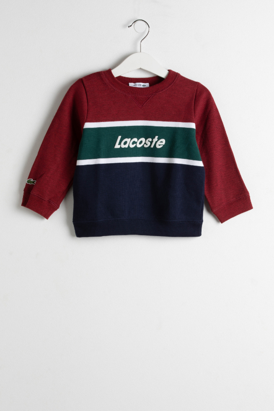 

Lacoste Crew Neck Colorblock Jersey Sweater