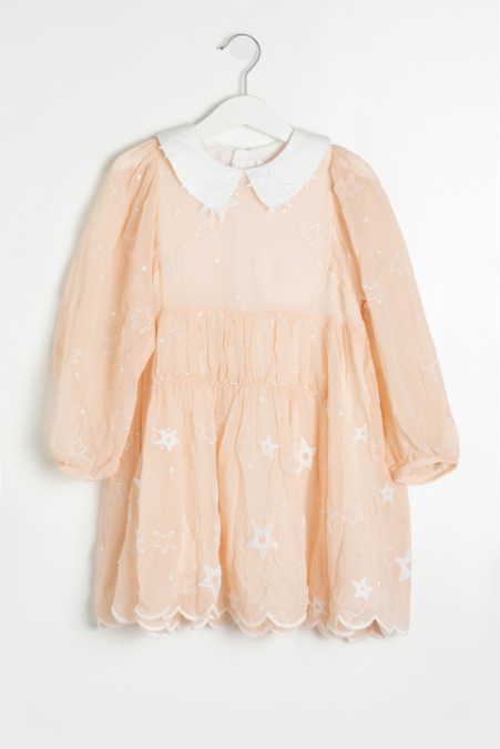

Chloe Embroidered Mech Dress