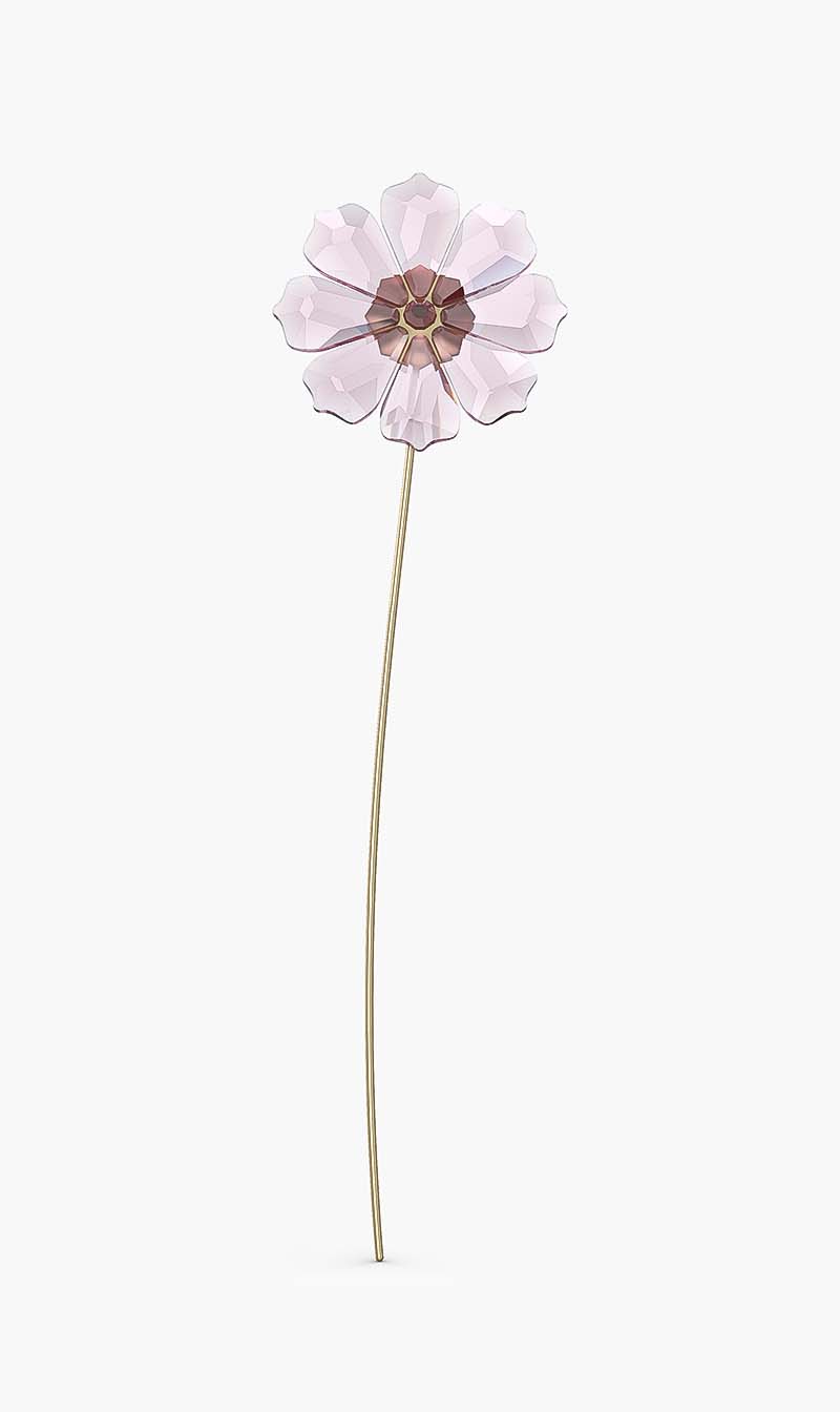 

Swarovski Garden Tales Cosmos