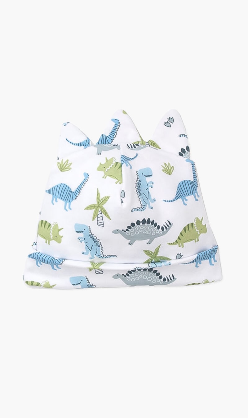 

Dino Dynamos Printed Hat, Multi-color