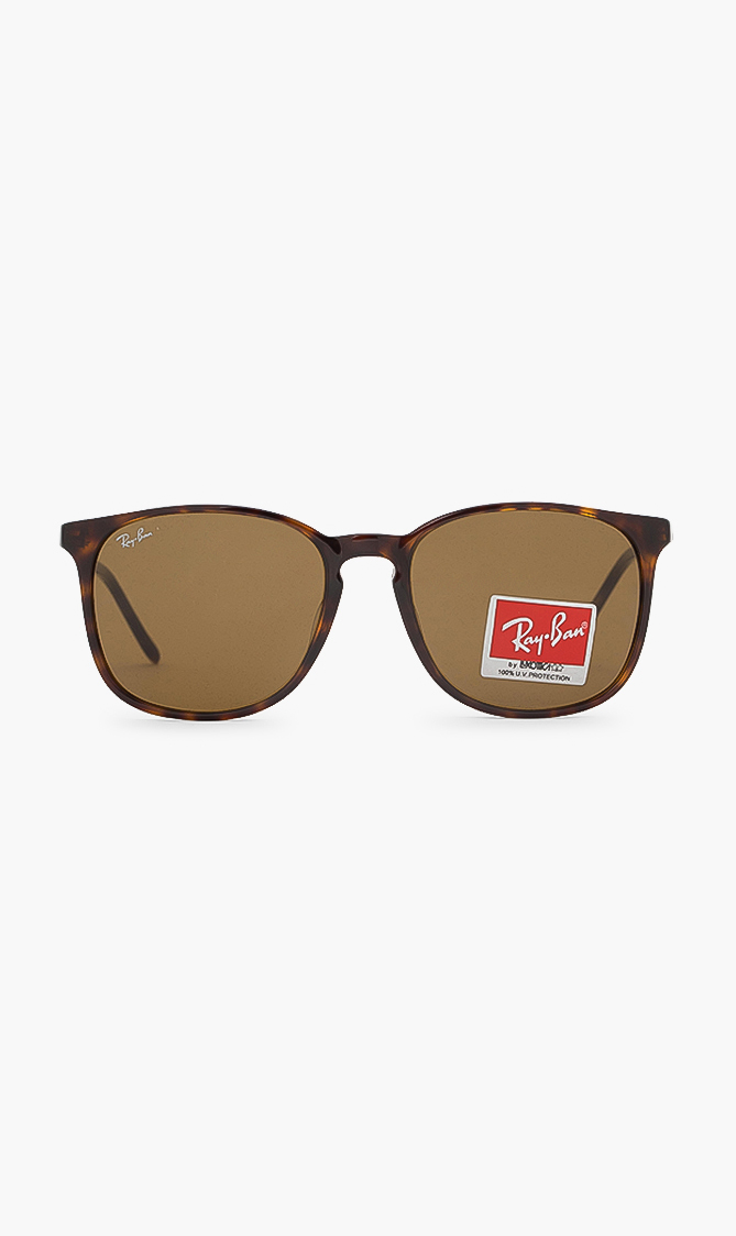 RAY-BAN Classic Sunglasses