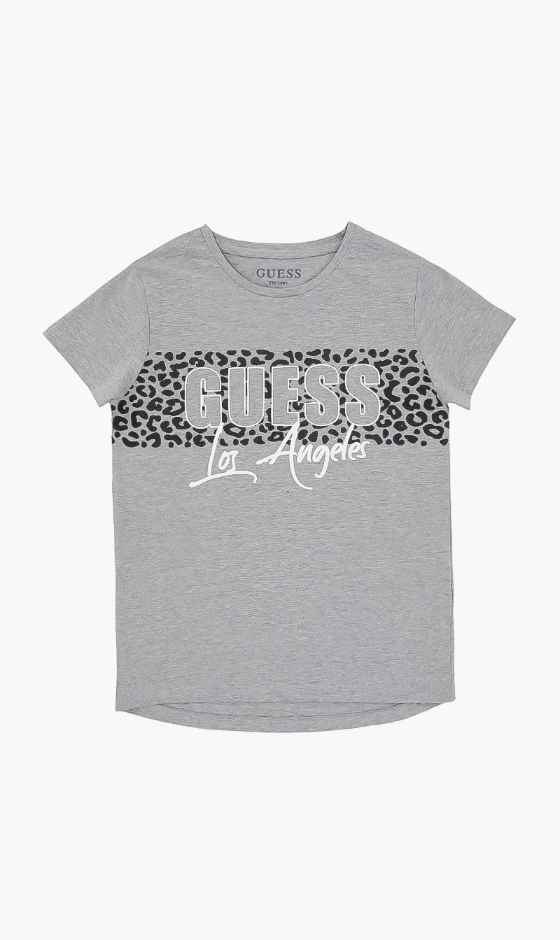 

Round Neck Logo Tshirt, Grey