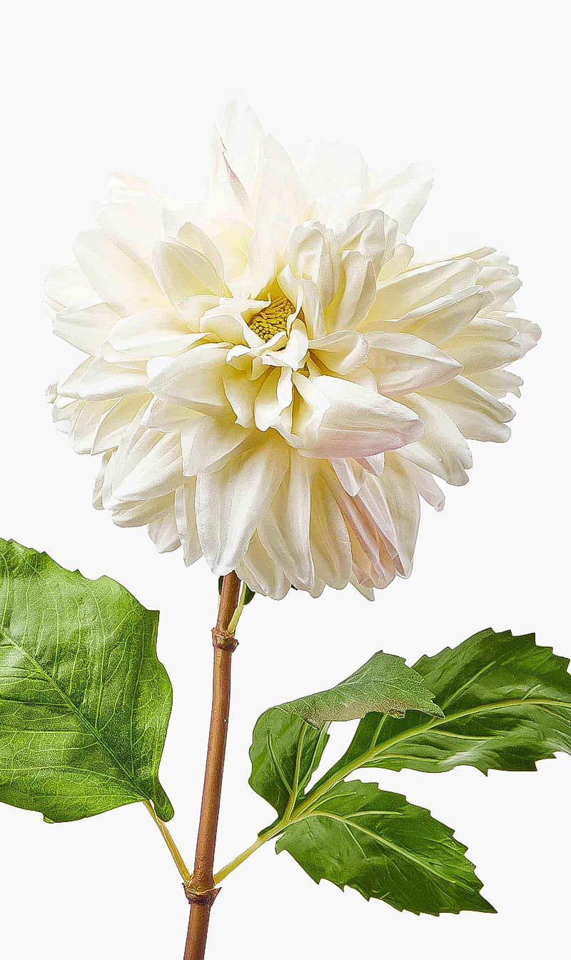 

Silk-ka White Dahlia Stem | The Deal Outlet