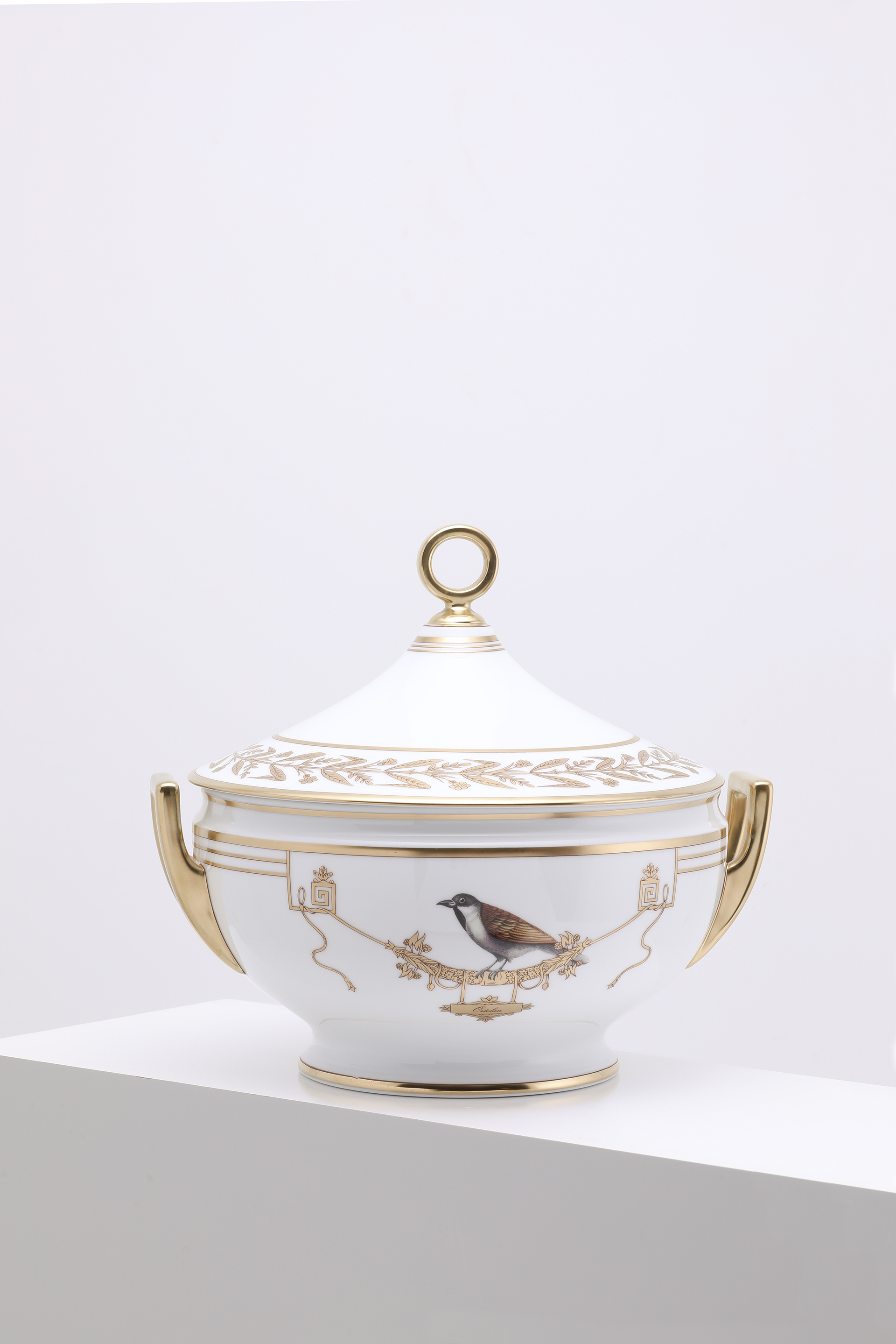 

Richard Ginori Voliere Soup Tureen With Cover 4 L