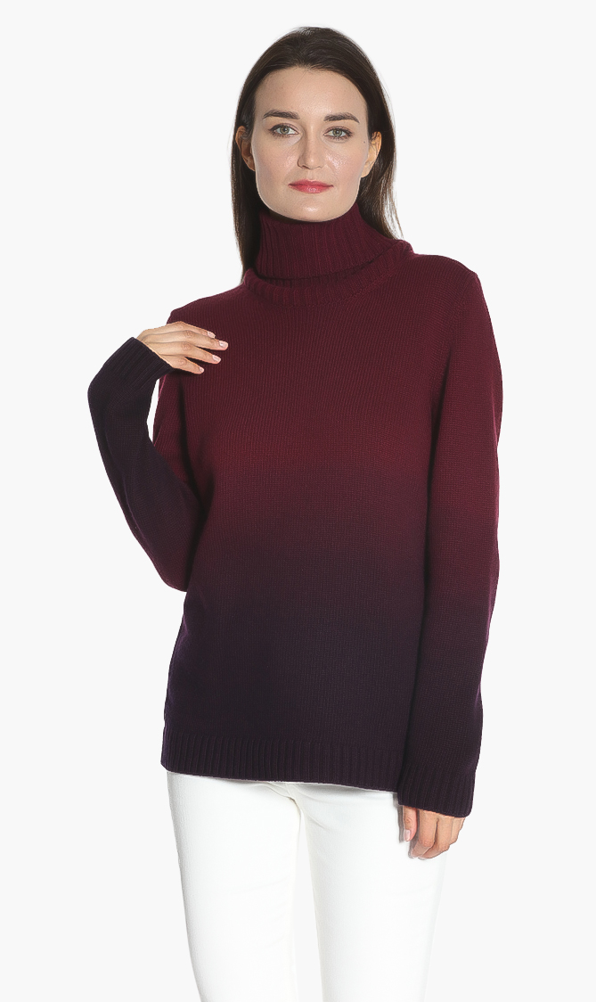 

Lacoste Dip Dyed Turtleneck Sweater