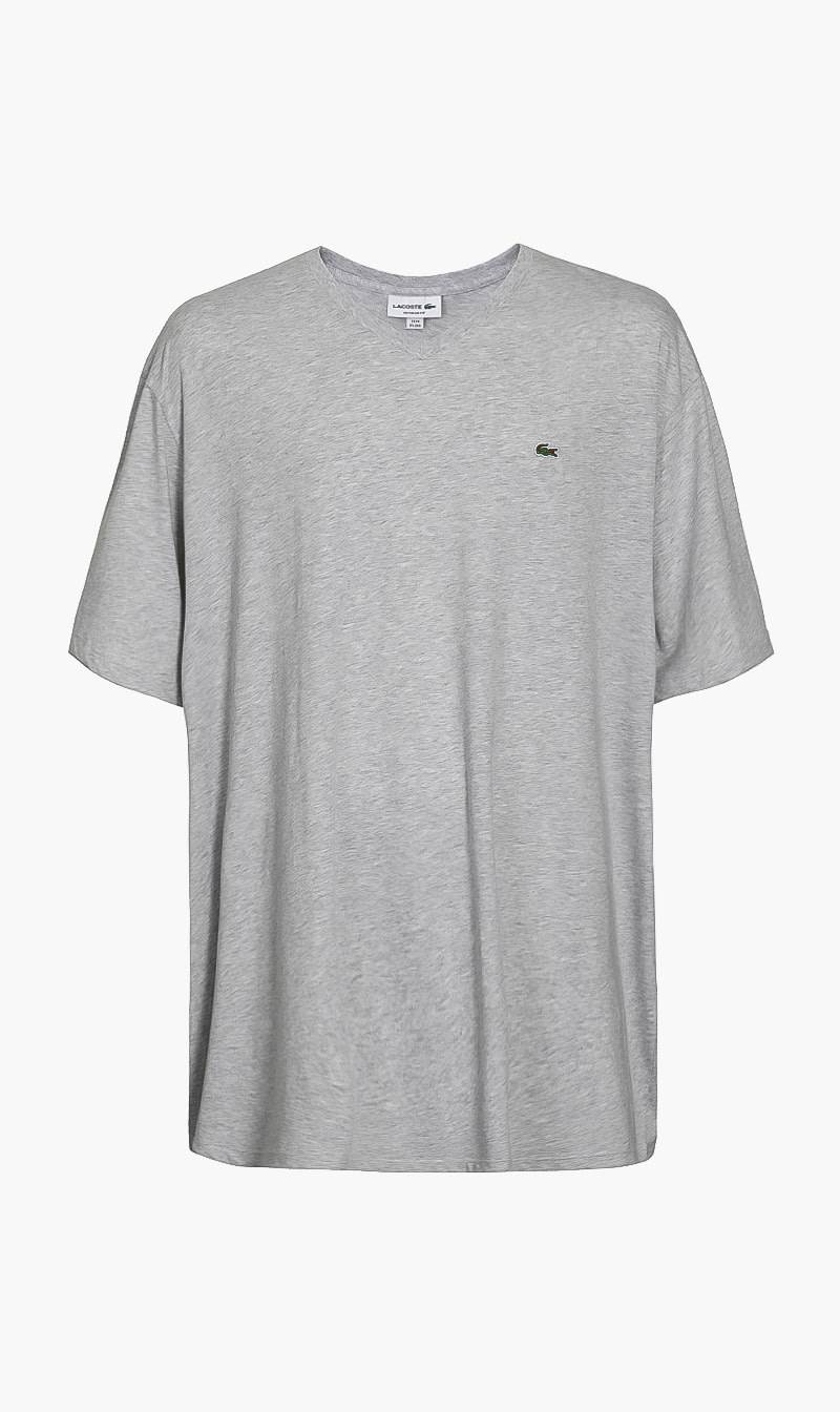 

Regular Fit V-neck T-shirt, Grey