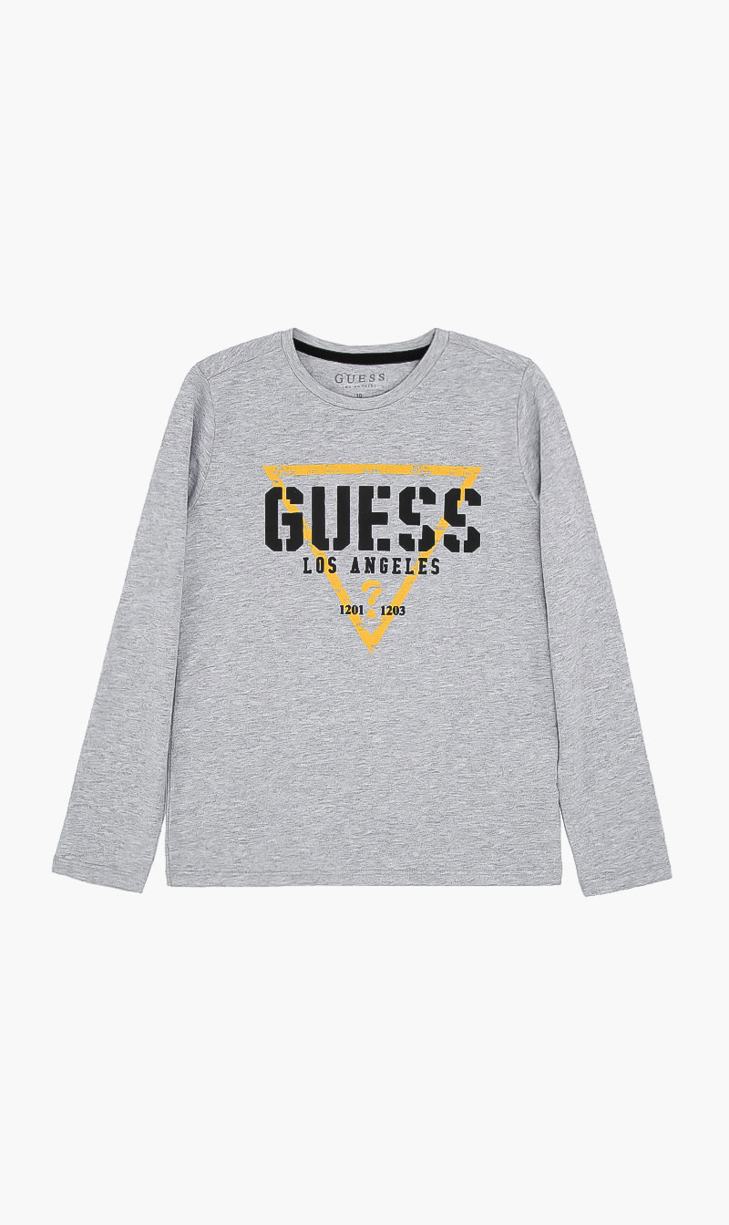 

Classic Logo Tshirt, Grey
