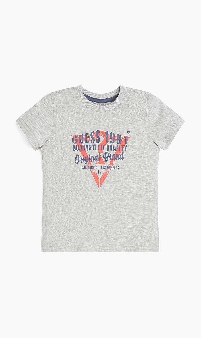 

Logo Short Sleeves Tshirt, Grey
