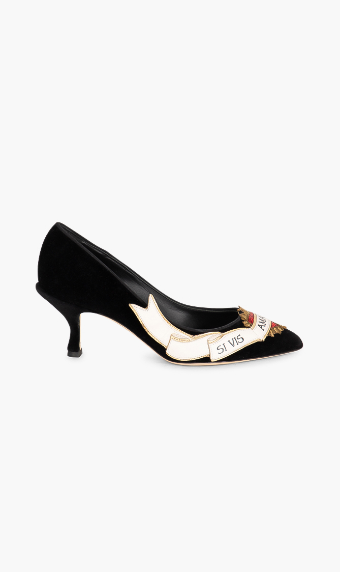 

Dolce&gabbana Lori Embroidered Velvet And Leather Pumps