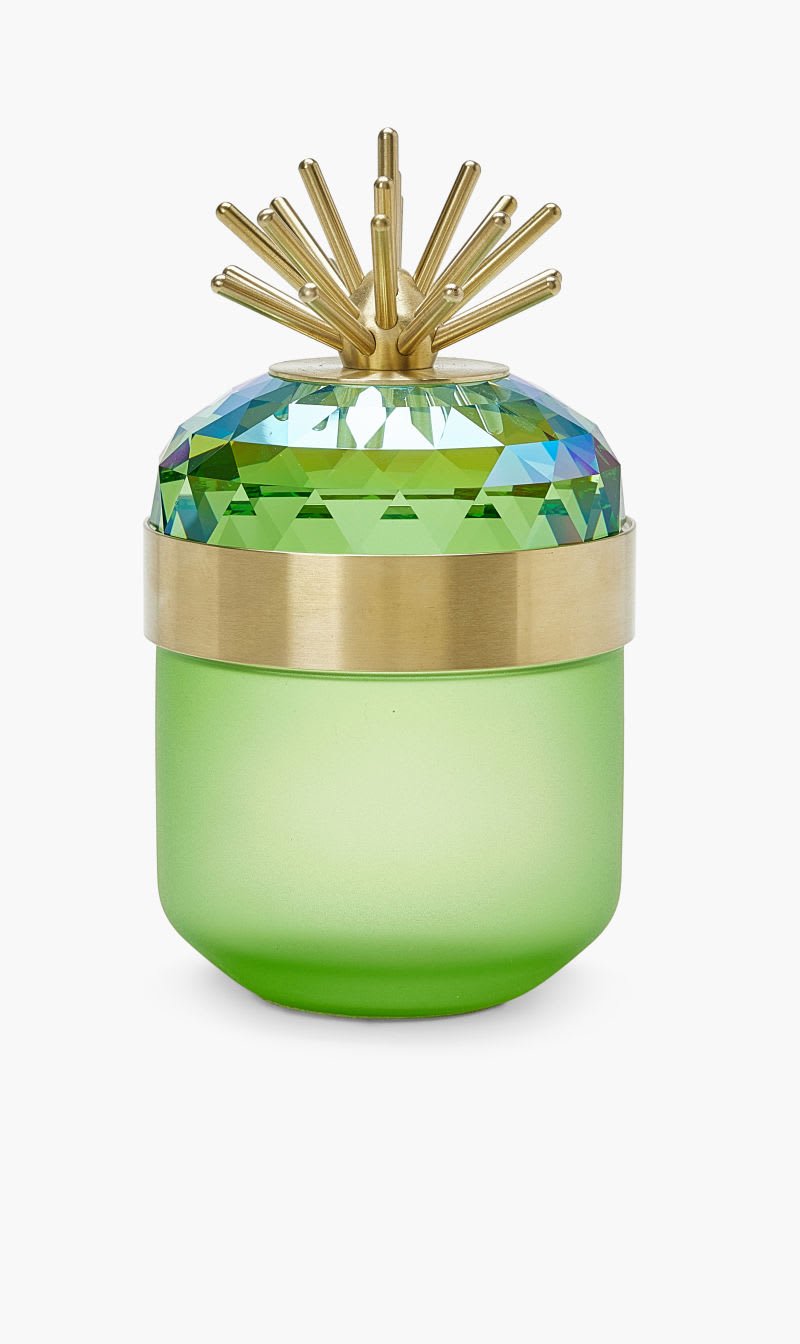 

Swarovski Cl Jungle Beats Decor Box Light Green for Women | The Deal Outlet