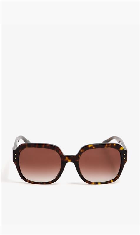 

Tory Burch Blue Eyewear Monogram Butterfly Solid Brown for Women | The Deal Outlet
