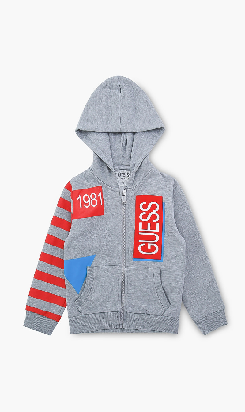 

Zipped Hooded Jacket, Grey