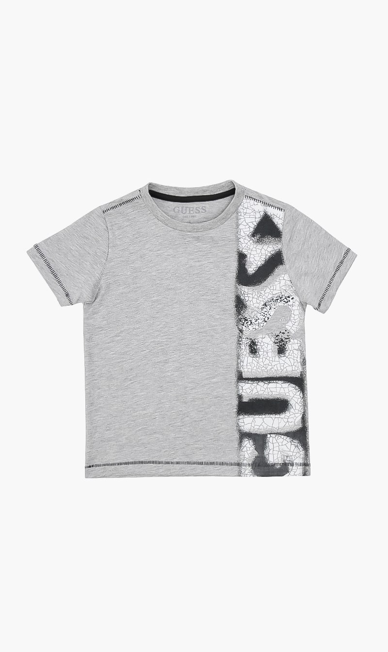 

Round Neck Tshirt, Grey