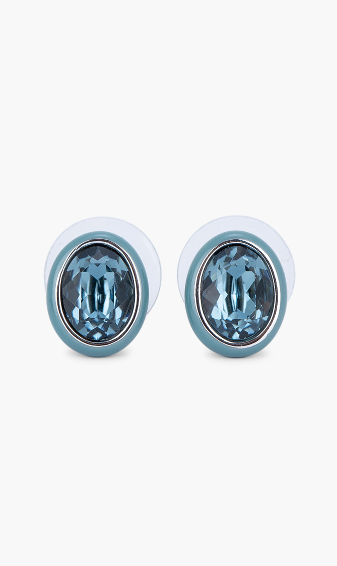 

Swarovski Pierced Earrings