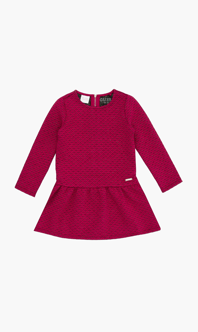 

Long Sleeves Dress