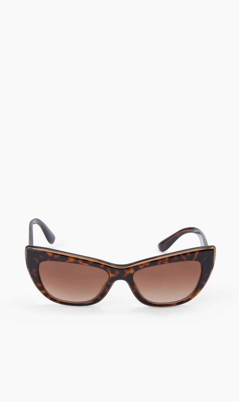 

Dolce & Gabbana Brown Acetate Woman Sunglass - Ac for Women | The Deal Outlet