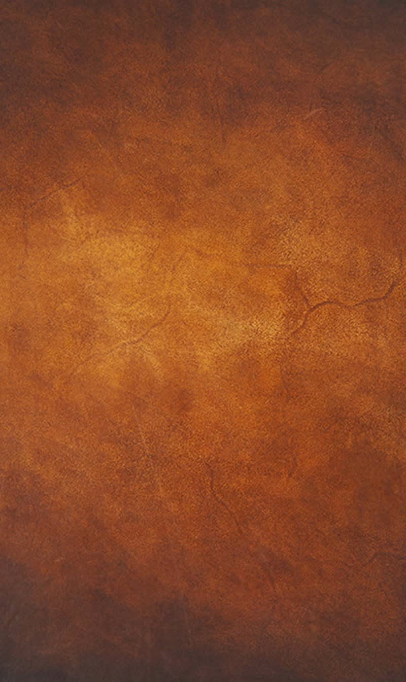 St Dupont Notebook Cover Brown