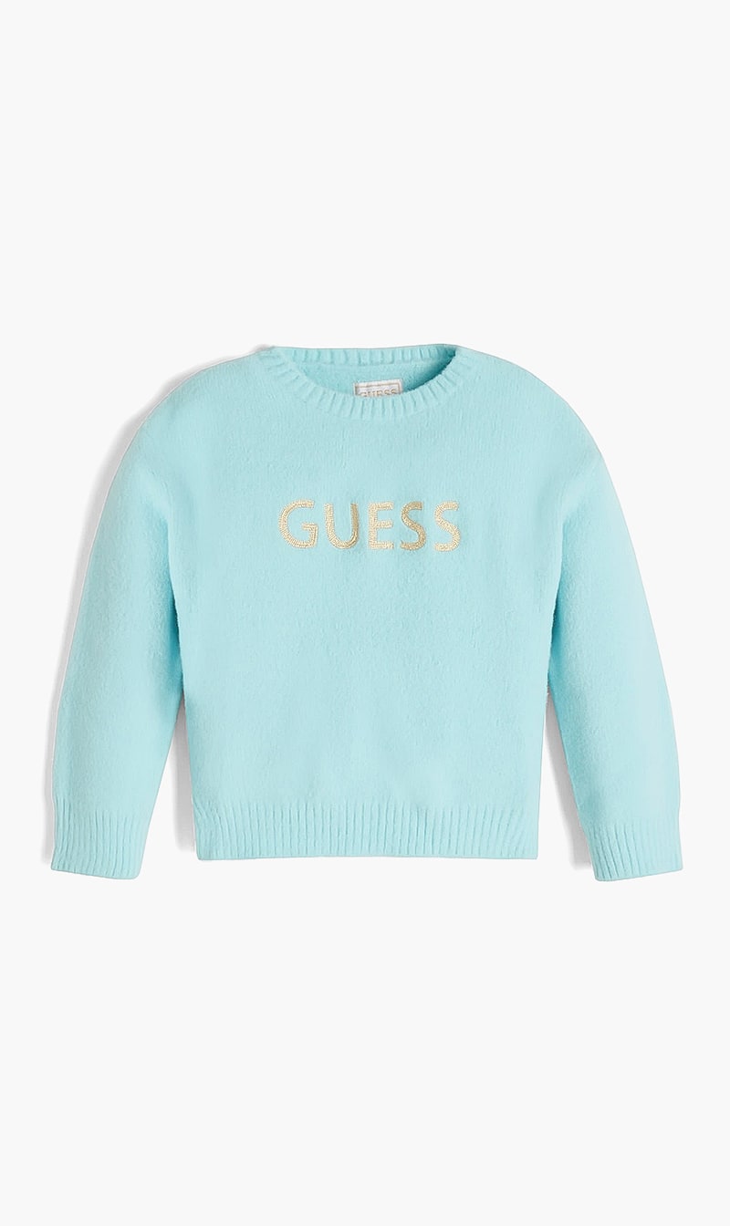 

Long Sleeves Sweater, Blue