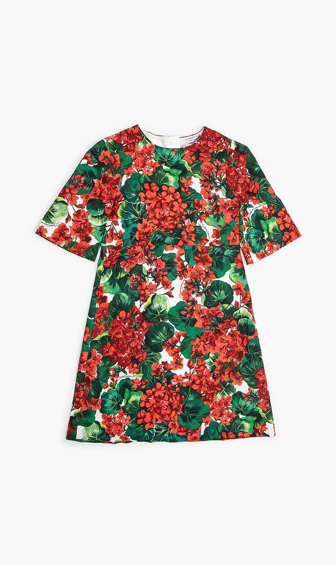 

Dolce&gabbana Flora Print Dress