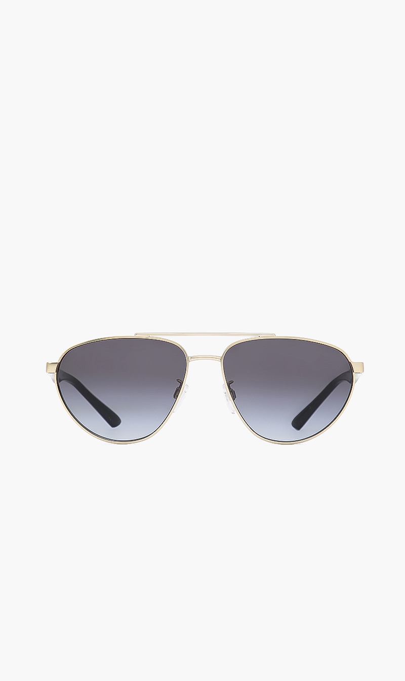 

Emporio Armani Aviator Ea-2125-30028g Sunglasses