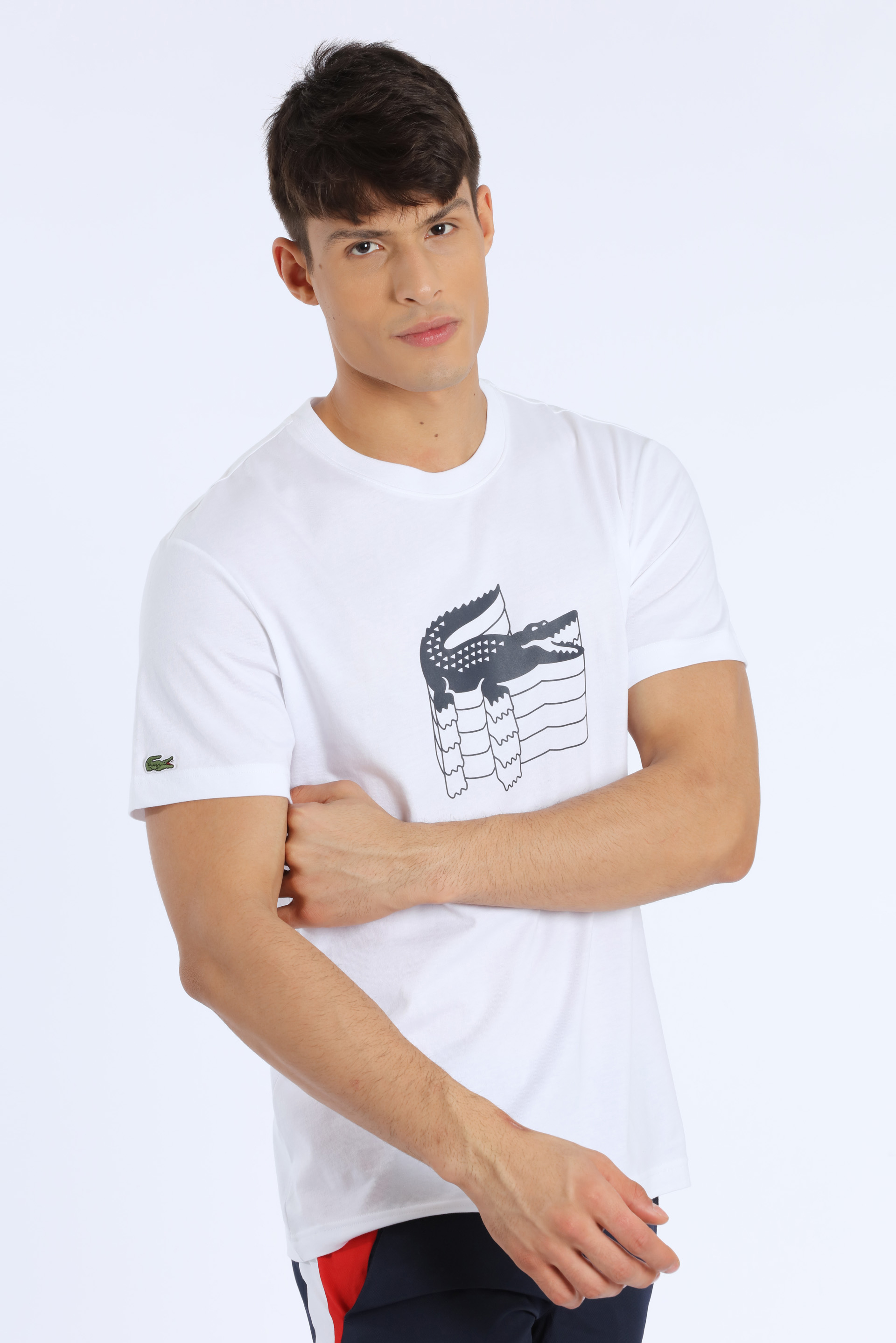 

Lacoste Crocodile Embroidery Cotton Mini Piquã© T-shirt