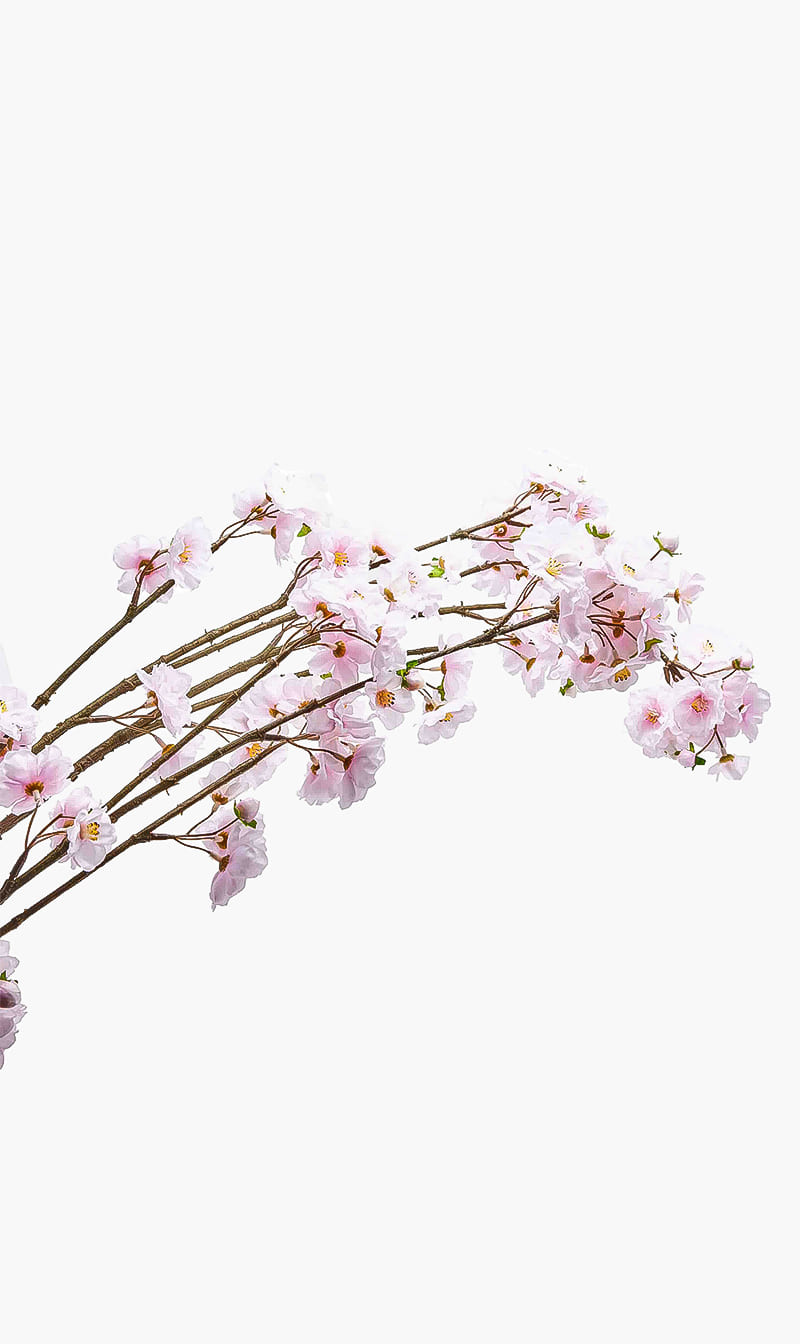 

Silk-ka Pink Cherry Blossom Spray | The Deal Outlet