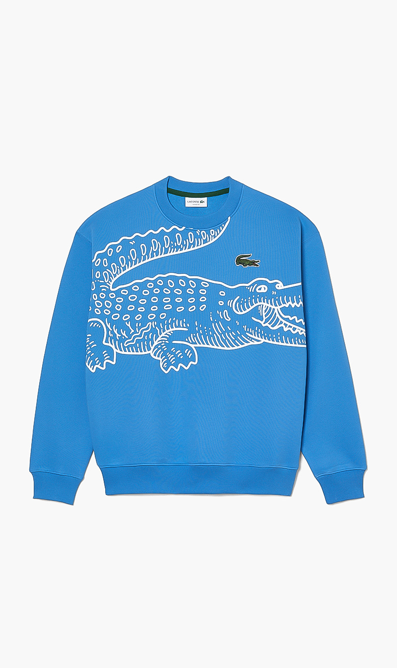 

Loose Fit Sweatshirt, Blue