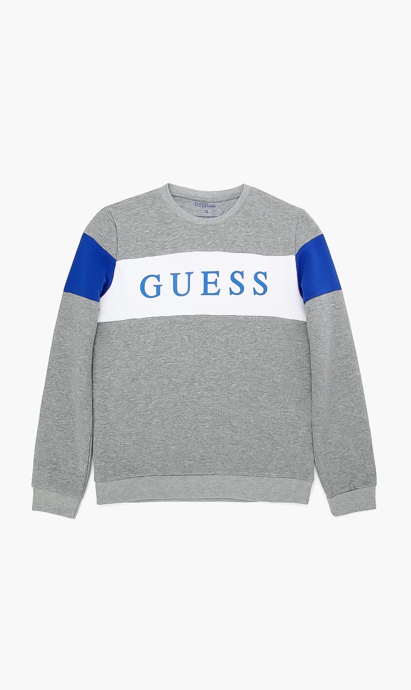 

Logo Long Sleeve Sweatshirt, Grey