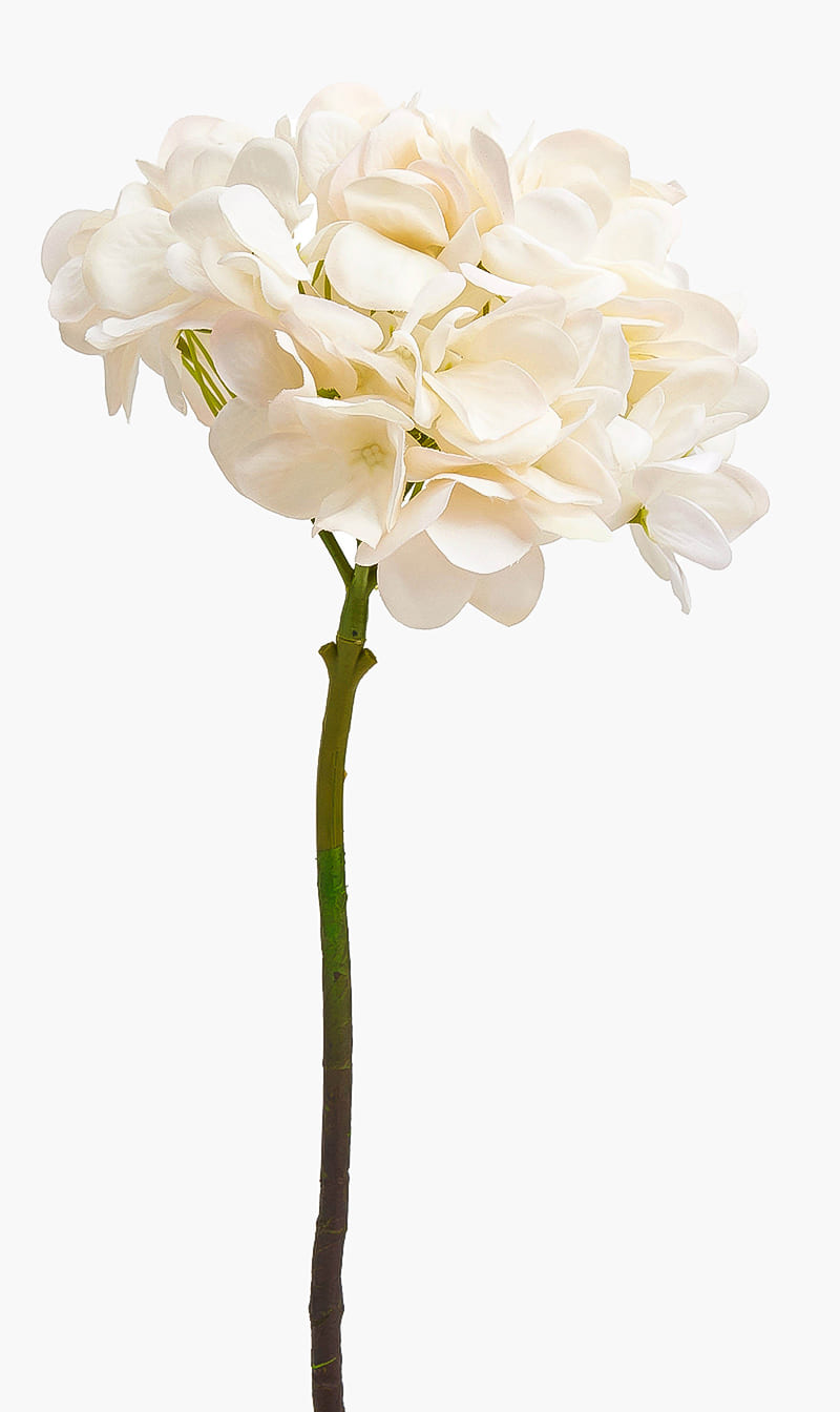 

Silk-ka White Hydrangea Stem | The Deal Outlet