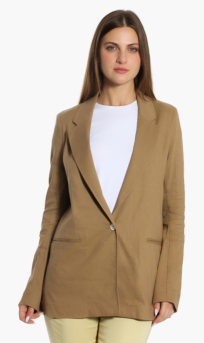 

Stripes Notch Lapel Blazer, Brown
