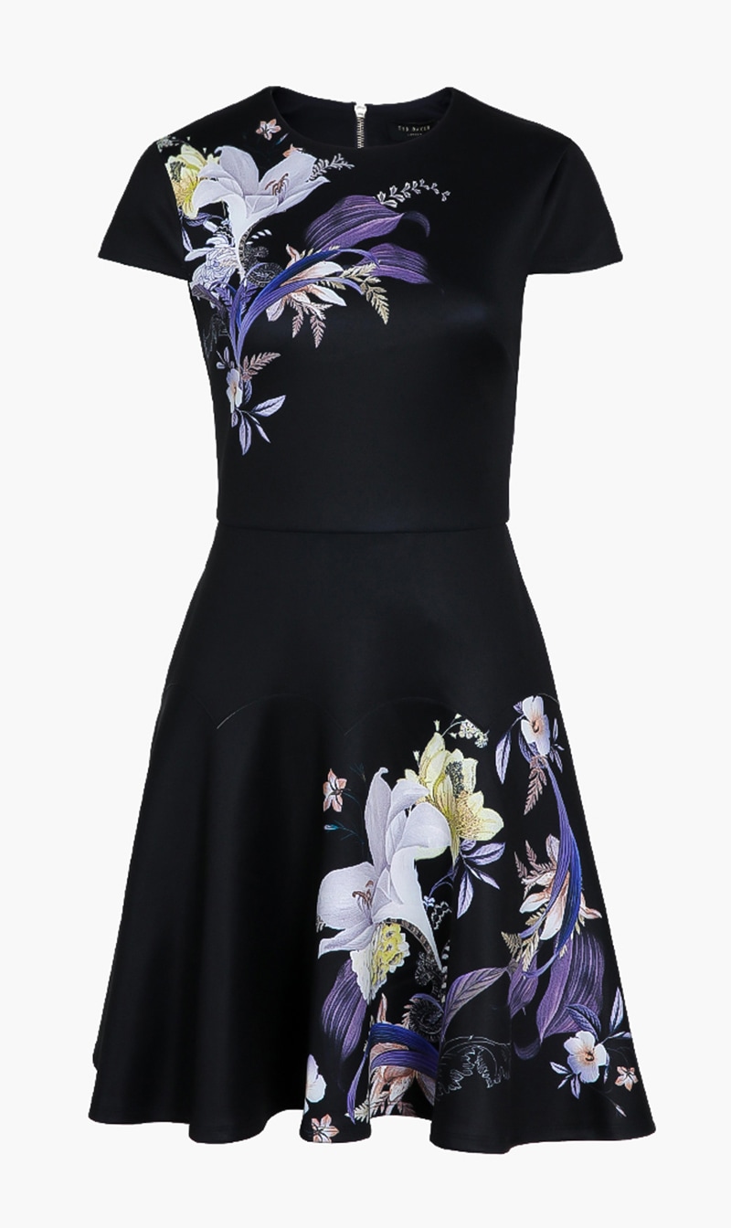 

Ted Baker Deacdence Skater Dress