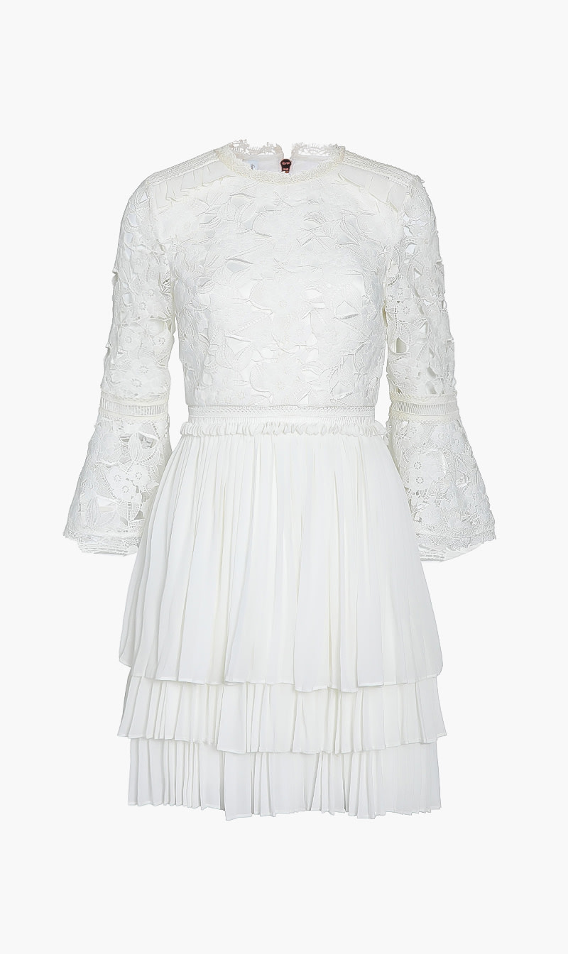 

Ted Baker Lace Bodies Pleated Skirt Dress
