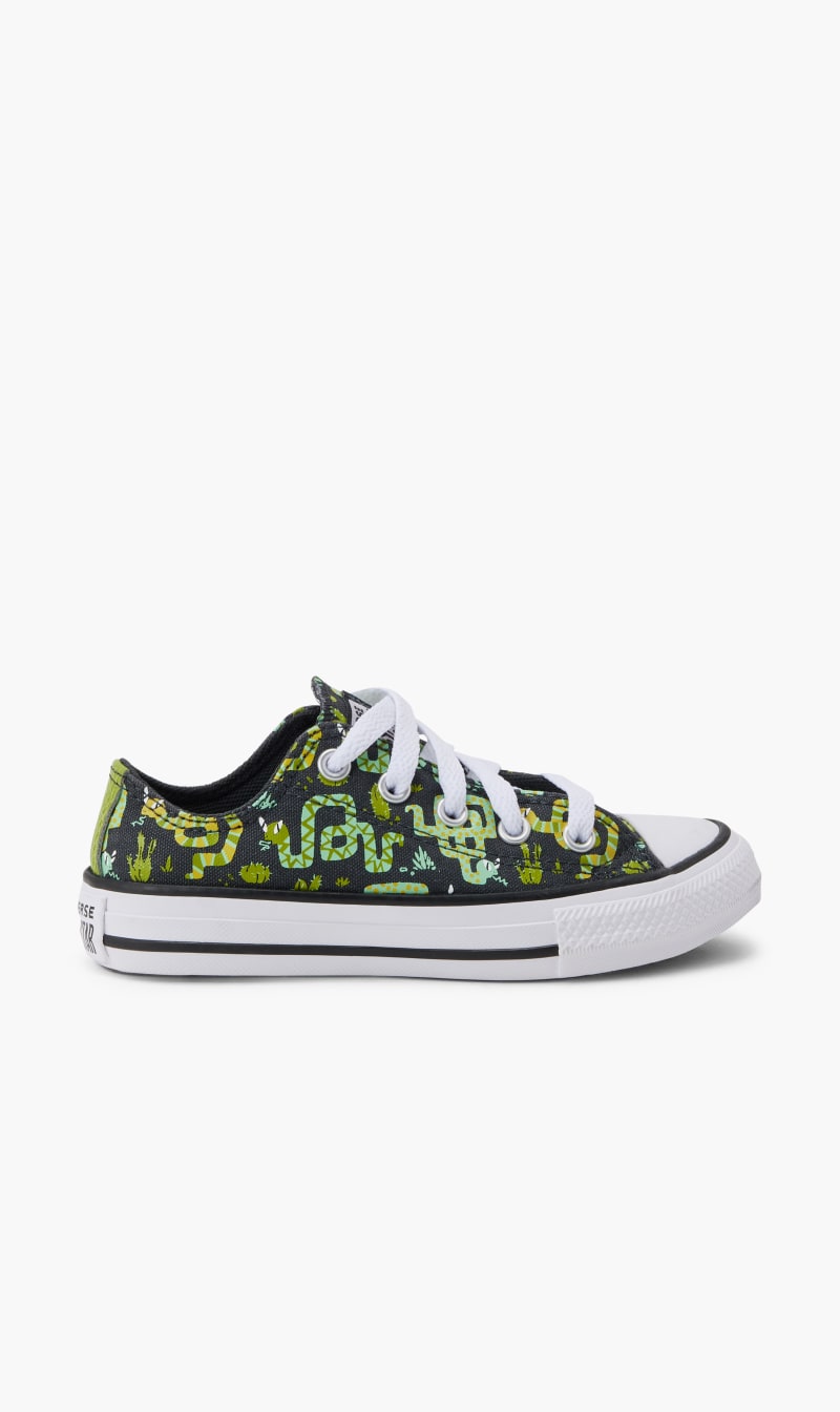 

Converse Grey Chuck Taylor All Star | The Deal Outlet