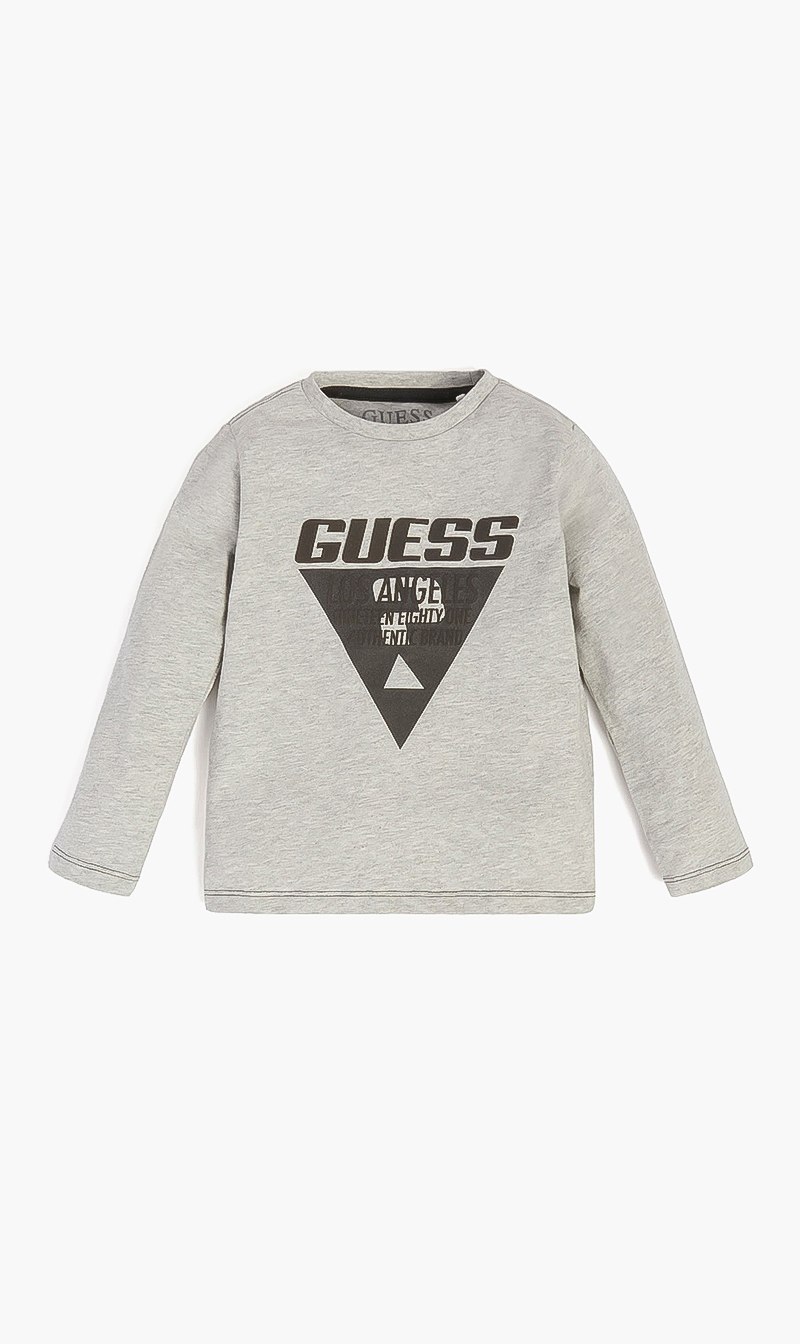 

Crew Neck Long Sleeves Tshirt, Grey